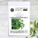 【有機種子】 ミント/スペアミント S 0.01g(約100粒) 種蒔時期 3~6月、9~10月