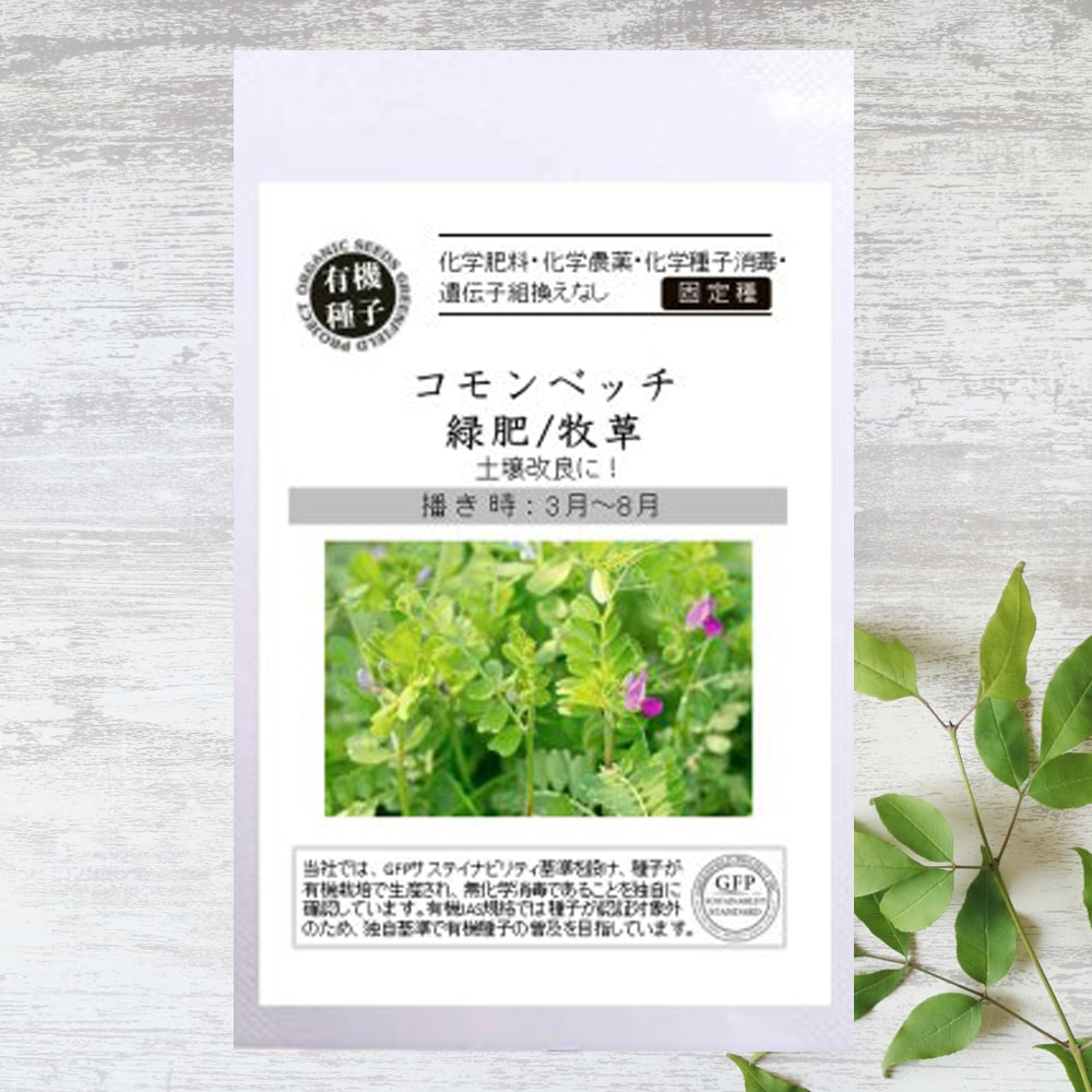 【有機種子】 コモンベッチ/＜緑肥/牧草/ 景観用＞ S 20g（約300粒） 種蒔時期 3～8月