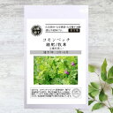 【有機種子】 コモンベッチ/<緑肥/牧草/ 景観用> S 20g(約300粒) 種蒔時期 3〜8月
