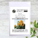【有機種子】 ひまわり/ゴールディーダブル S 10粒 種蒔時期 4~6月