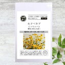 【有機種子】 ルドベキア/トリロバ S 40粒 種蒔時期 3~4月、9~10月