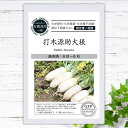 【有機種子】 うつぎげんすけ 打木源助大根 S 40粒 種蒔時期 秋まき