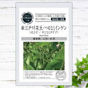 【有機種子】 新江戸川菜豆/ つるなしインゲン (丸さや / すじなしタイプ)S 18粒 種蒔時期 春・夏まき