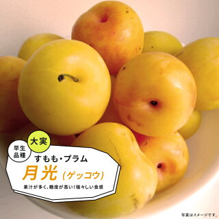げ から始まる食べ物まとめ しりとり 献立のヒントに 教えたがりダッシュ げ から始まる食べ物まとめ しりとり 献立のヒントに 教えたがりダッシュ