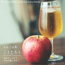 りんご苗木 【こうたろう】 1年生接木苗 登録品種・品種登録 【予約販売】11~12月頃入荷予定