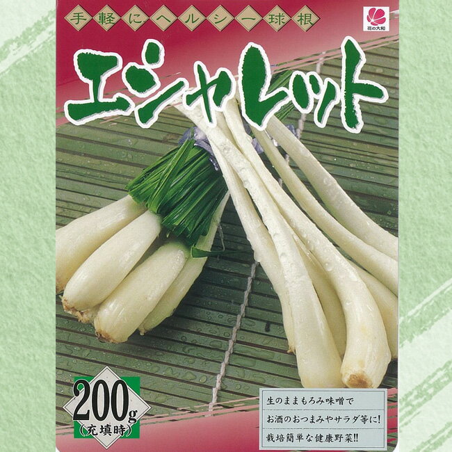 【エシャレット】 球根 200g 国産（茨城県） （植え付け時期7月下旬～9月下旬まで） 【予約販売】7月頃下旬発送予定。