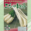 【エシャレット】 球根 200g 国産（茨城県） （植え付け時期7月下旬～9月下旬まで）