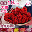 結婚記念日 バラの花束 誕生日 妻 プレゼント 大輪!長もち!いい夫婦の日 プロポーズに還薔薇を 本数指定(20本?)