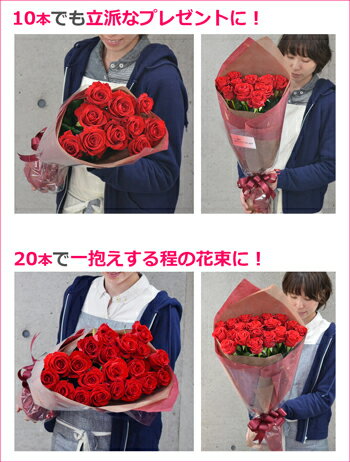 大臣賞 大輪 青バラ 花束 本数指定OK【20本以上で送料無料】結婚記念日 バレンタイン 薔薇 妻 誕生日 プレゼント プロポーズ ギフト 花 10本 20本 30本格安通販　バレンタイン　人気　ランキング