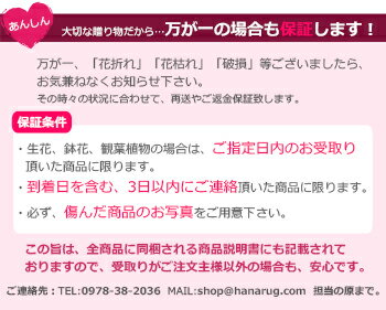 大臣賞スプレーバラの花束本数指定OK【即日発送14時までOK】誕生日プレゼント結婚記念日妻プロポーズ薔薇卒業祝い7本〜