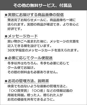 スプレーバラの花束本数指定誕生日プレゼント結婚記念日妻バレンタインプロポーズ薔薇7本〜