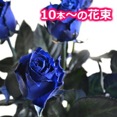 https://thumbnail.image.rakuten.co.jp/@0_mall/hana-rug/cabinet/bara/bluerose-taba/blue-hanataba-01.jpg