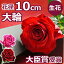 結婚記念日 バラの花束(一輪 ボックス 1本 一本 1輪 薔薇)誕生日 ホワイトデー プレゼント 箱入り 妻 両親 プロポーズ