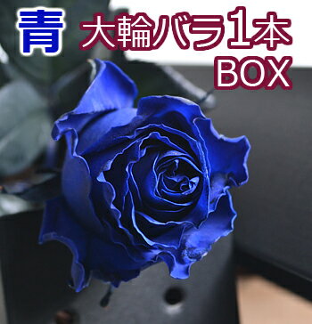 大臣賞 大輪 青バラ 一輪BOX 結婚記念日 誕生日 ホワイトデー プレゼント 妻 ボックス プロポーズ 花束 1本 一本 1輪 ブルーローズ 薔薇 箱入り 両親