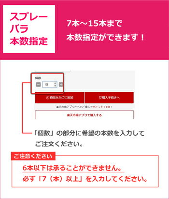 国産大臣賞スプレーバラの花束(7本〜)バラ花束を誕生日(お誕生日還暦)のお祝いのお花(花束)に。退職祝い(退職送別送別会)結婚記念日(記念日)結婚祝いの花のプレゼントギフト(贈り物)や敬老の日にバラ花束を。赤/ピンク/イエローの薔薇の花束を送料無料