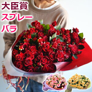 大臣賞 スプレーバラの花束 本数指定OK 誕生日 プレゼント 結婚記念日 バレンタイン 妻 ギフト 花 プロポーズ 薔薇 7本-