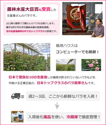 国産大臣賞スプレーバラの花束(7本〜)バラ花束を誕生日(お誕生日還暦)のお祝いのお花(花束)に。退職祝い(退職送別送別会)結婚記念日(記念日)結婚祝いの花のプレゼントギフト(贈り物)や敬老の日にバラ花束を。赤/ピンク/イエローの薔薇の花束を送料無料