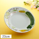 【クーポン配布中】スパーゴ 23cmパスタボール(ずっきーに) (お取り寄せ品)// 美濃焼 磁器 食器 皿 お皿 大皿 盛皿 深皿 カレー皿 パスタ皿 パスタボウル イタリアン カラフル かわいい おしゃれ 買いまわり イタリアン イタリア料理 ビストロ パスタプレート