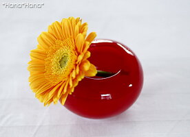 津軽びいどろアミューズアオモリボウル7.5cmアップル型レッド