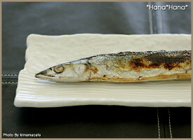 白楽長角前菜さんま皿32.5cm