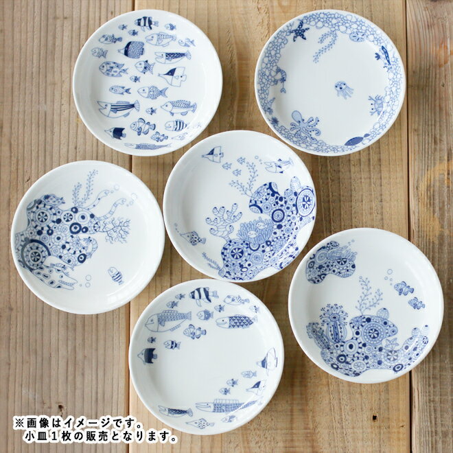 楽天市場】小皿 13cmの通販