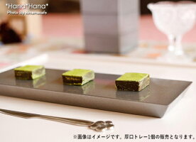 長角厚口トレー21cmシルバー漆器