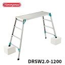 【DRSW2.0-1200】長谷川工業 ハセガワ haseg...