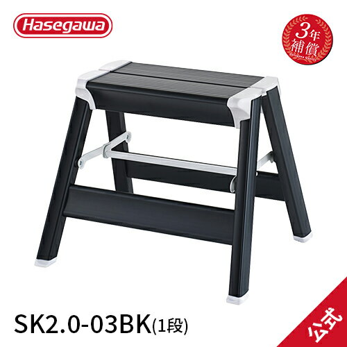SK2.0-03BKĹë ϥ hasegawa Ƨ Ω   ޤꤿ Ƨ åȥƥå 1 ֥...