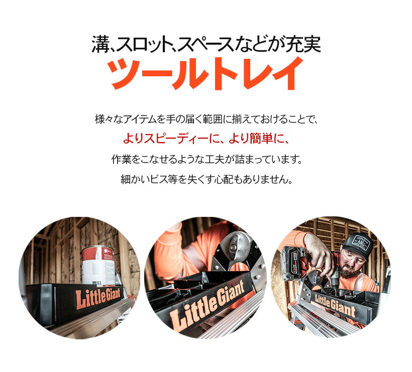 �� LG-15047 �ۥġ���ȥ졼 LG���ץ���� ��ȥ른�㥤����� littlegiant Ĺë��� hasegawa