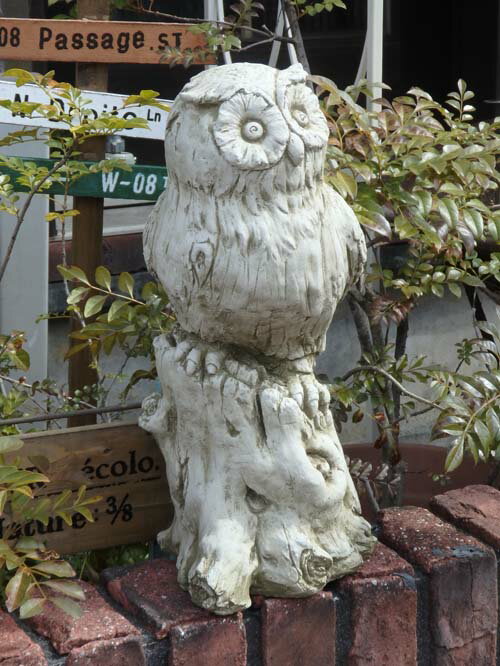 大人気セール ガーデニング Owl On Tree stock』：花遊び ガーデン 雑貨『English 本物保証人気SALE