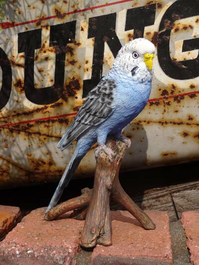 楽天市場】インコ 置物(花・ガーデン・DIY)の通販 楽天市場】インコ 置物(花・ガーデン・DIY)の通販