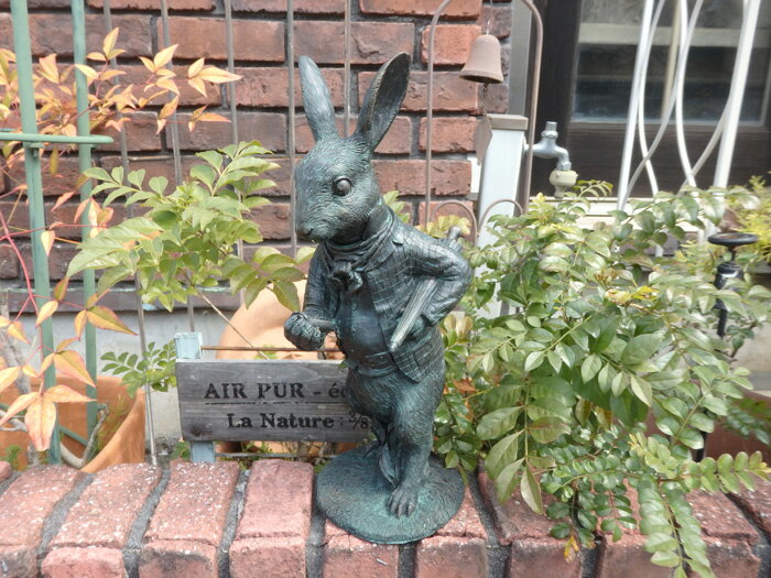  ǥ˥ ǥإȡ ȥޥ ӥåȡ