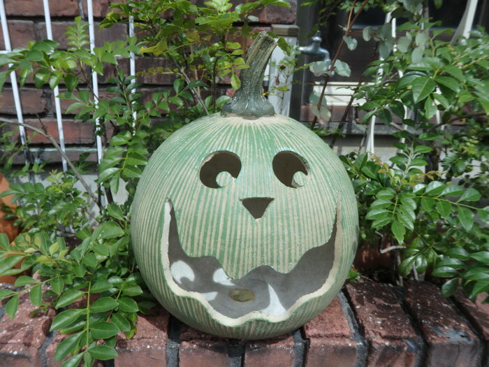 ハロウィン ガーデニング ガーデン『訳あり・まんまる♪ジャックランタン・グリーン』のサムネイル