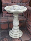 ΣţסCatBirdbath