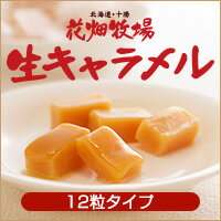 北海道 お土産 花畑牧場 生キャラメル 12粒