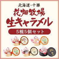 北海道 お土産 花畑牧場 生キャラメル5種5個セット【送料込み】