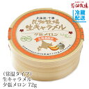 花畑牧場　＜常温タイプ＞生キャラメル　夕張メロン 72g【冷蔵配送】