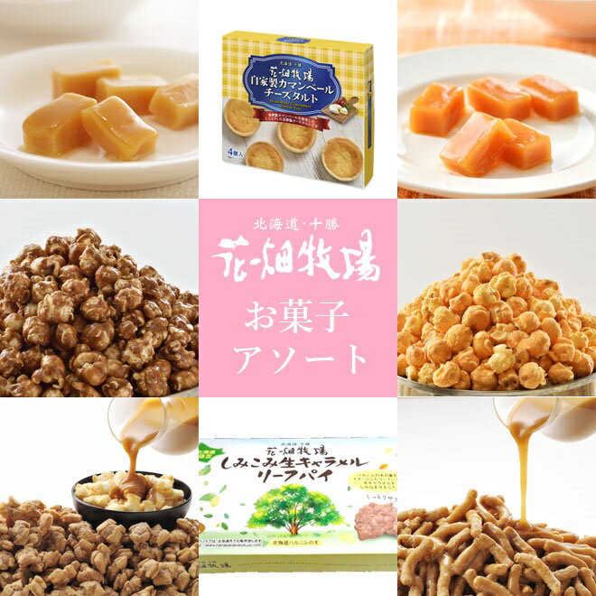 花畑牧場の現在と評判 ベトナム人雇止めストライキと社長の田中義剛がクズ 噂のあんなちゃん