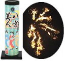 欠点のない美人 八方美人【打上げ花火】