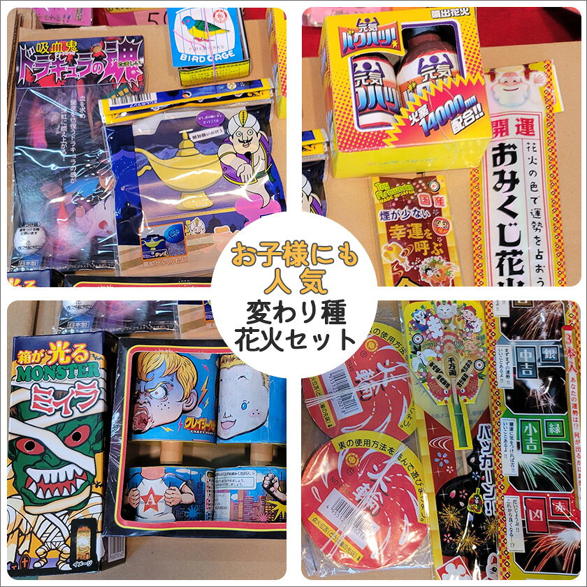 仕掛け花火で楽しくあそぼっ！ワクワク 立岩特製変わり種花火セット