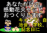 花火セット 送料無料 カスタムオー