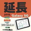 Galaxy 5G 高速通信　無制限 60日　日制限無　大容量プラン WIFIレンタル　延長 2ヶ月　テレワーク