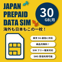 楽天モバイル プリペイド SIMカード 30GB 6ヶ月プリペイドプラン 半年 180日間 楽天回線 au 国際ローミング利用可能 データ通信 テレワーク prepaid SIM プリペイドSIMカード 格安SIM