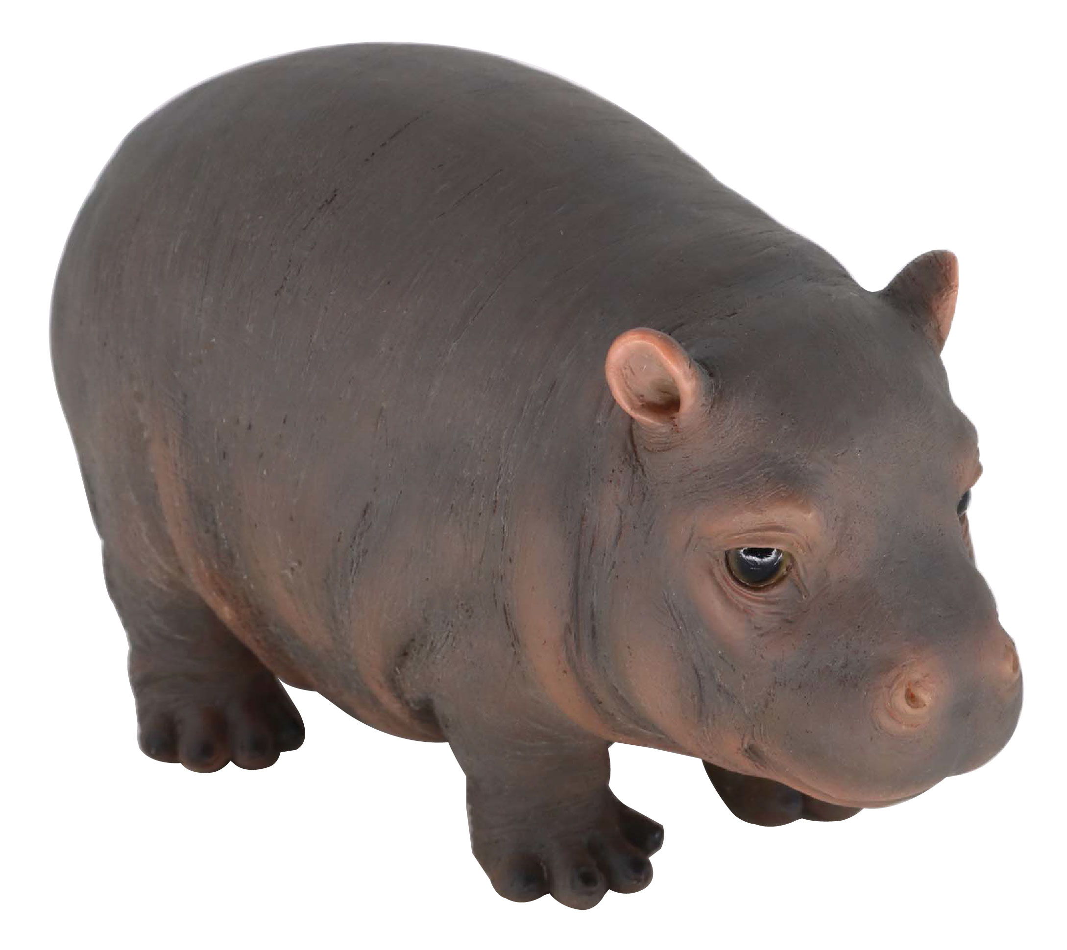 14195