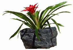 86296　フラワーポット