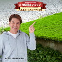 【月間優良ショップ受賞店】人工芝プレミアム ジョイント パネル 芝丈30mm 30X30cm(端数(1枚)購入用)【楽天最安値挑戦】ベランダ タイル 人工芝生 ...
