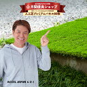 【月間優良ショップ受賞店】人工芝 プレミアム ジョイント パネル 芝丈30mm 30X30cm 80枚セット【送料無料】ベランダ タイル 人工芝生 リアル 芝生...