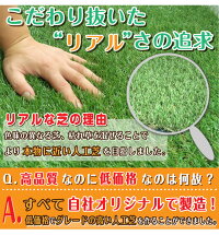 【期間限定2000円OFF・4/212時まで】人工芝ロール1m×10m【送料無料】【U字ピン20本無料】リアル人工芝マットロール式芝生人工芝ロールリアルドッグラングリーンベランダ庭人工芝生ガーデニング