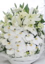 お供えアレンジメント2L フラワーアレンジメント フラワー ギフト アレンジ 供花 お悔やみ 花 お供え 四十九日 お供え 法事 お供え花 お悔やみ お盆 法要...
