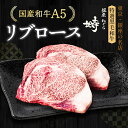 黒毛和牛 A5 リブロース ステーキ 400g (200g×2枚)【化粧箱】冷凍便 ステーキ肉 ステーキセット ステーキギフト ギフト肉 高級部位 雌牛 国産牛 牛肉 和牛 高級肉 BBQ 銀座 誕生日 プレゼント 贈り物 母の日 父の日 敬老の日 のし対応 御祝 内祝 御礼 御年賀 御中元 御歳暮